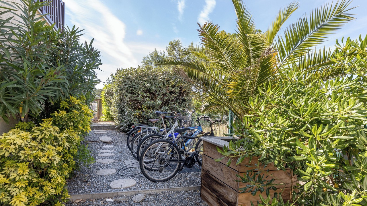 Photo of Outdoor in Moliets-et-Maa