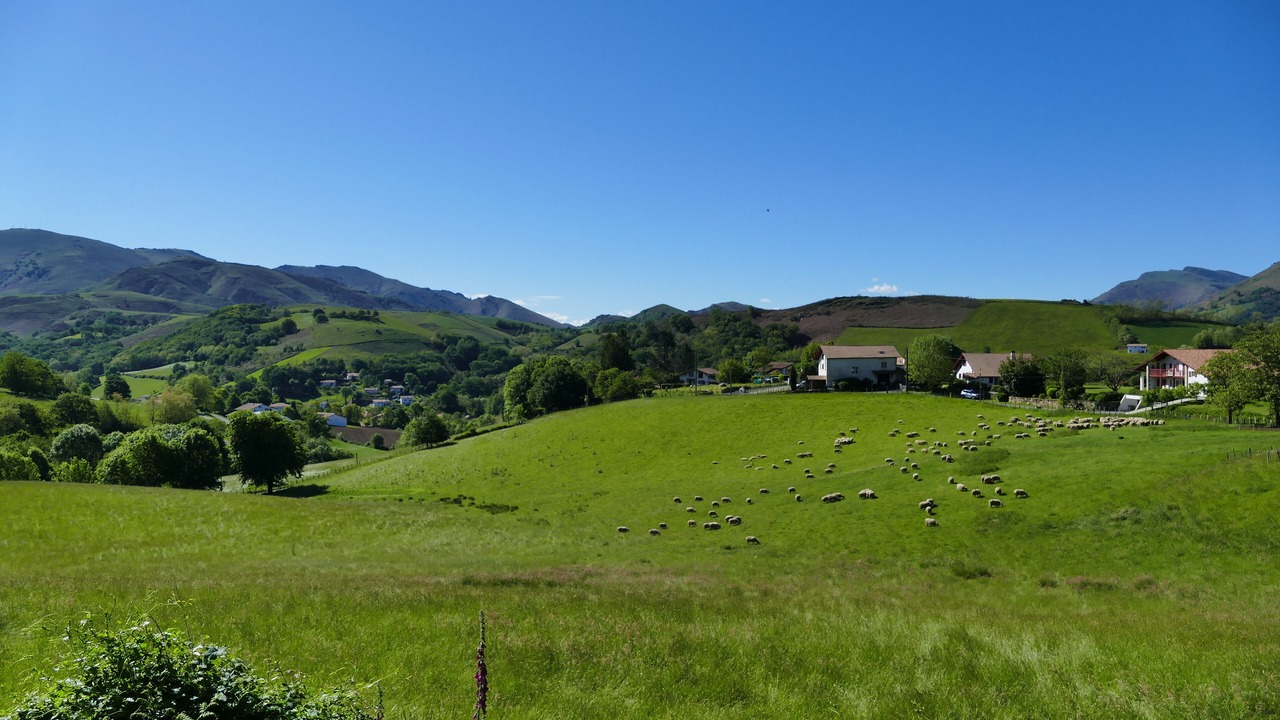 Photo of Outdoor in Louhossoa