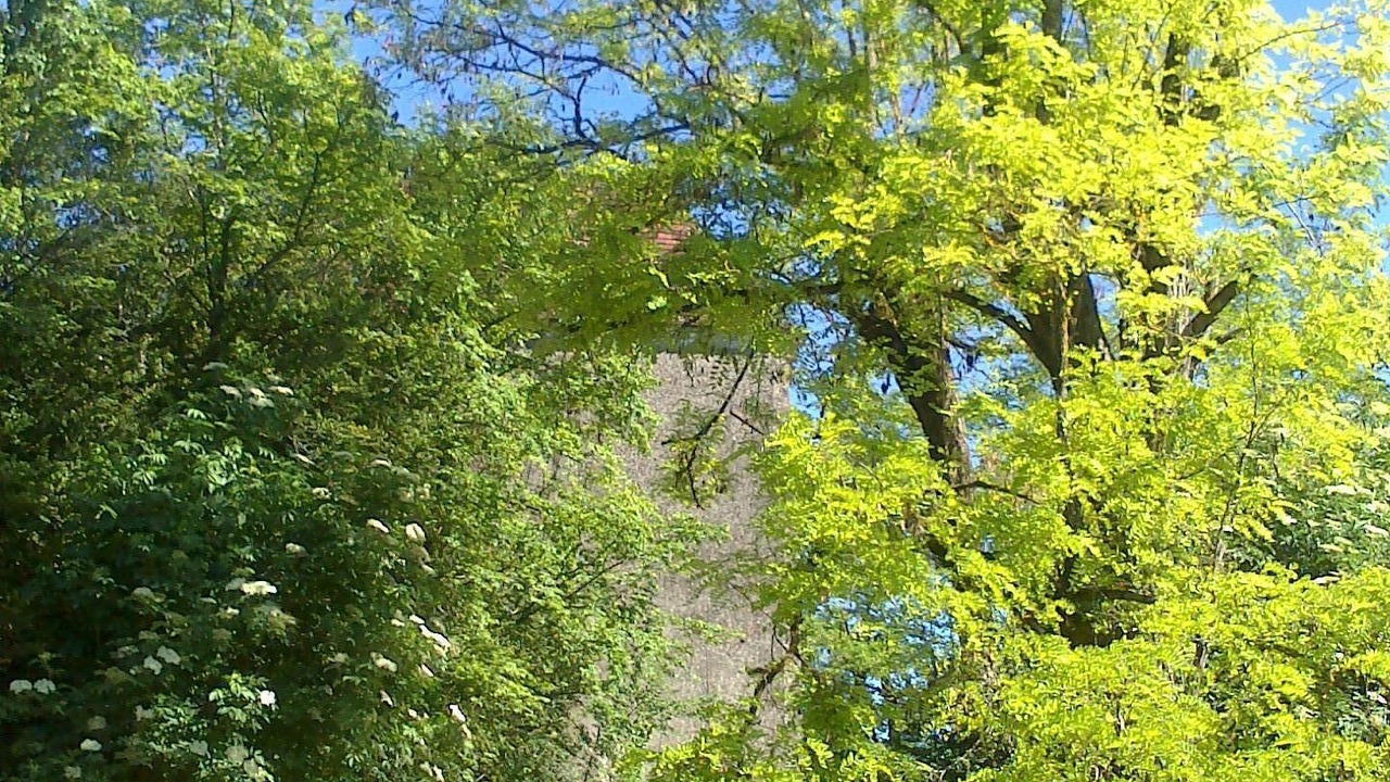 Photo of Outdoor in Carlux