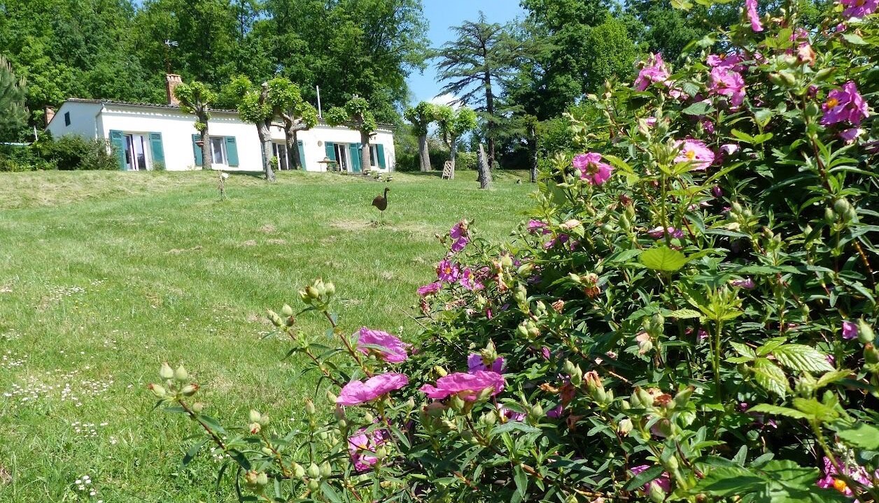 Photo of Outdoor in Lamothe-Montravel