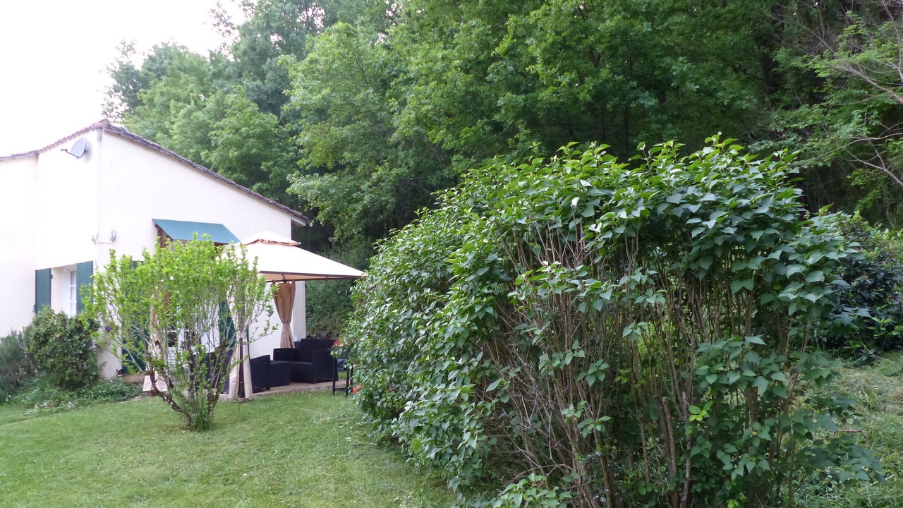 Photo of Outdoor in Lamothe-Montravel