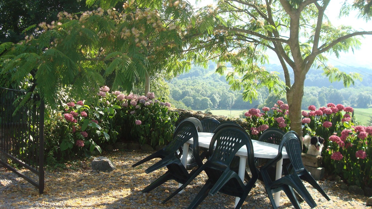 Photo of Outdoor in Sauguis-Saint-Etienne