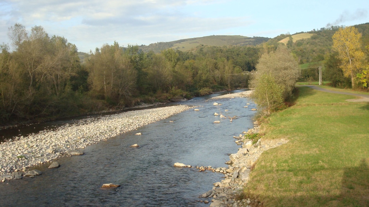 Photo of Others in Sauguis-Saint-Etienne