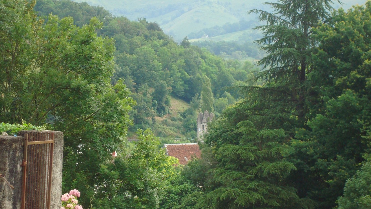 Photo of Outdoor in Sauguis-Saint-Etienne