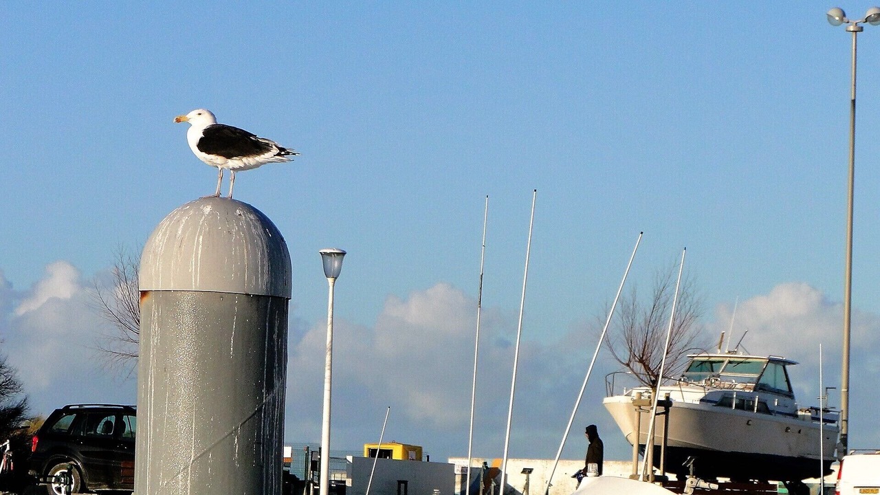 Photo of Outdoor in Saint-Denis-d'Oleron