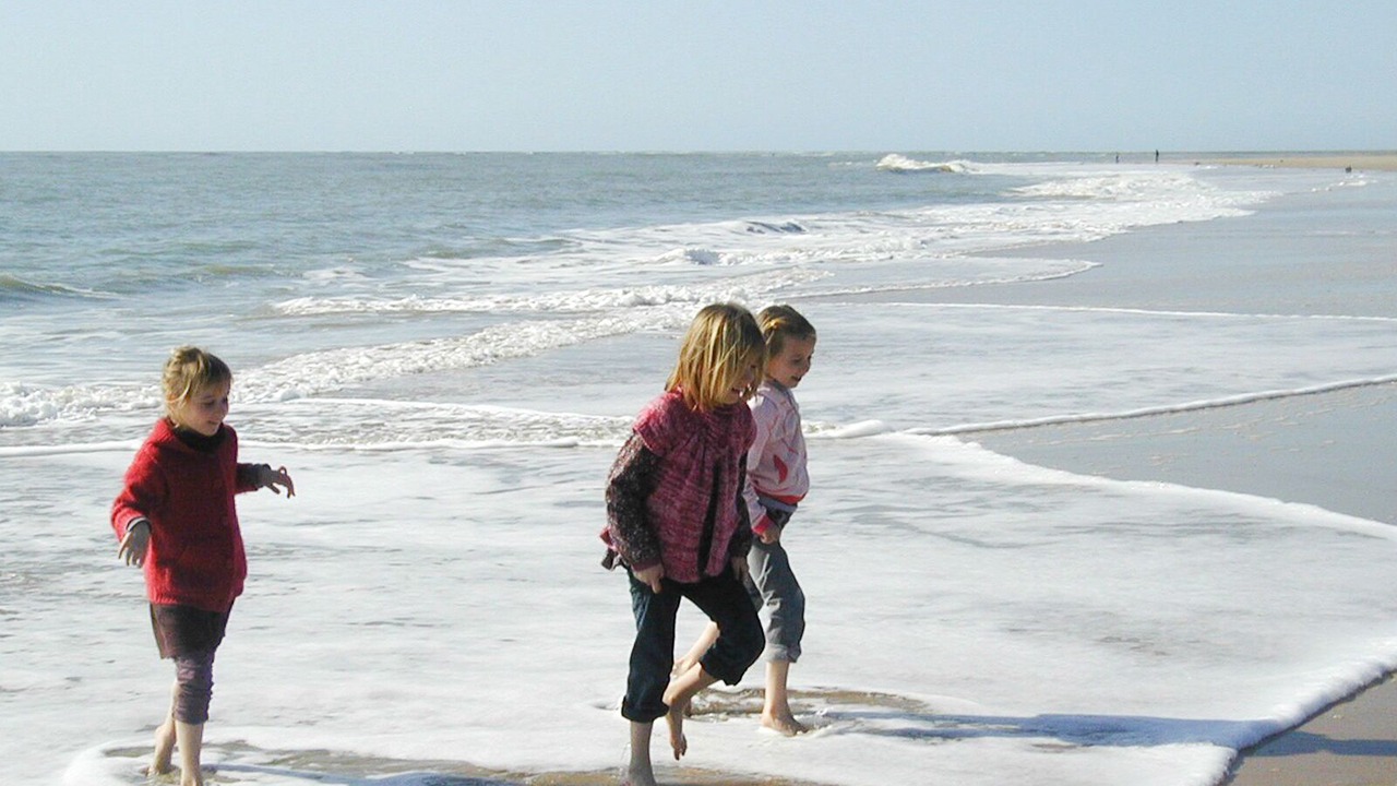 Photo of Others in Saint-Denis-d'Oleron