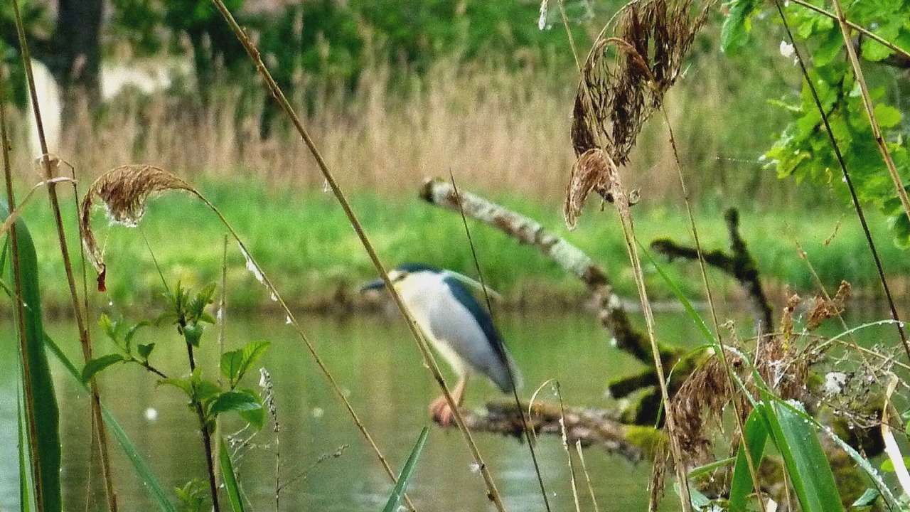 Photo of Outdoor in Lesigny