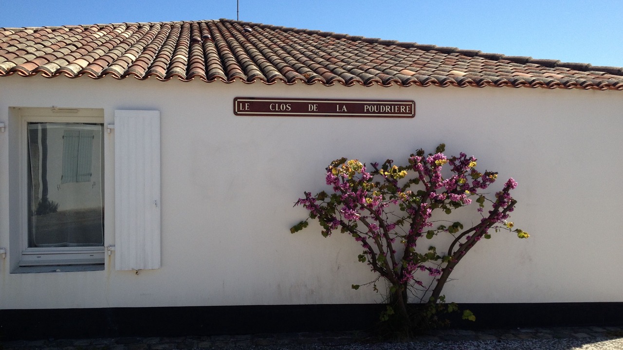 Photo of Outdoor in Saint-Martin-de-Re