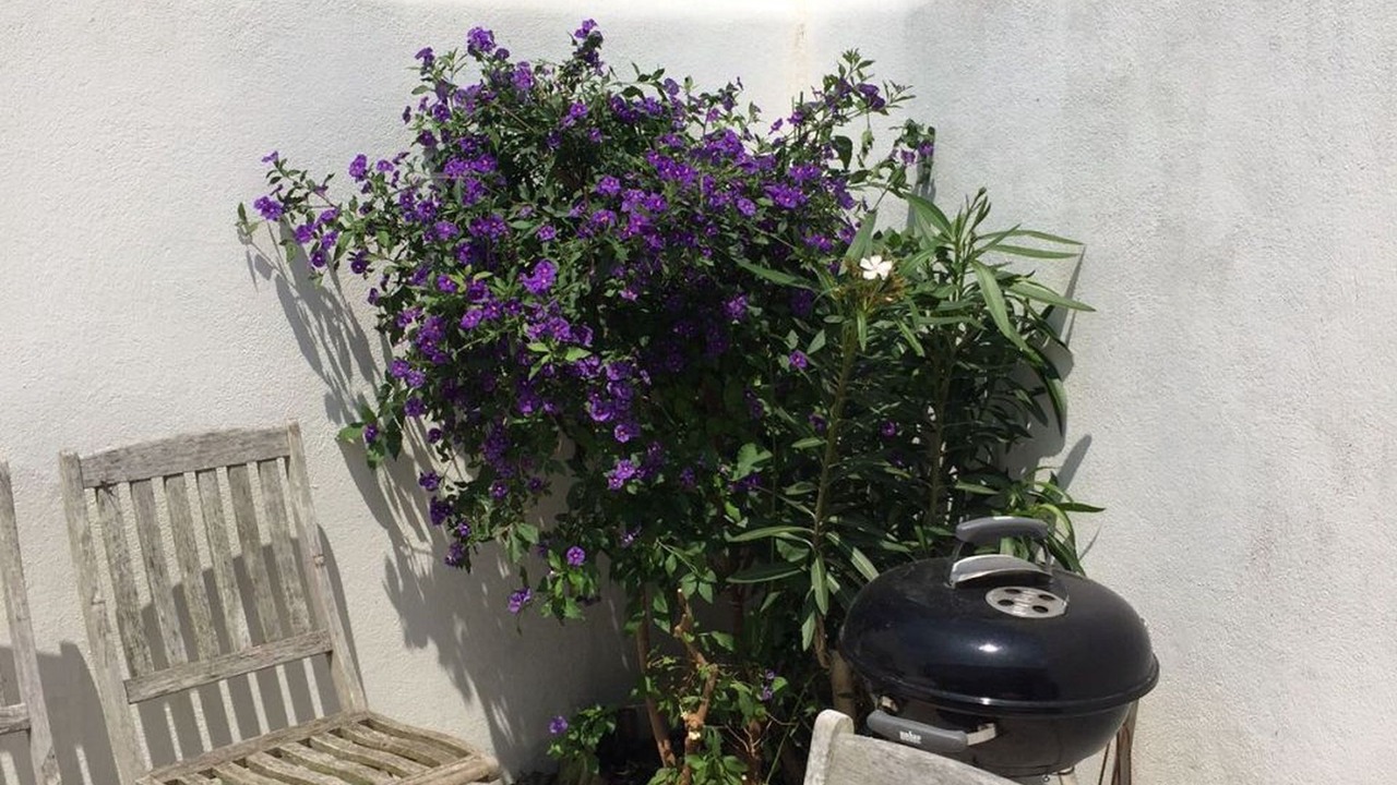 Photo of Patio Balcony in Saint-Martin-de-Re