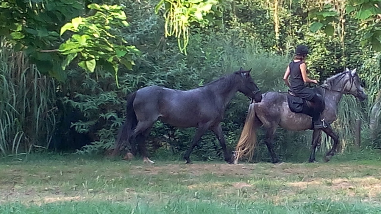 Photo of Others in Fleurac