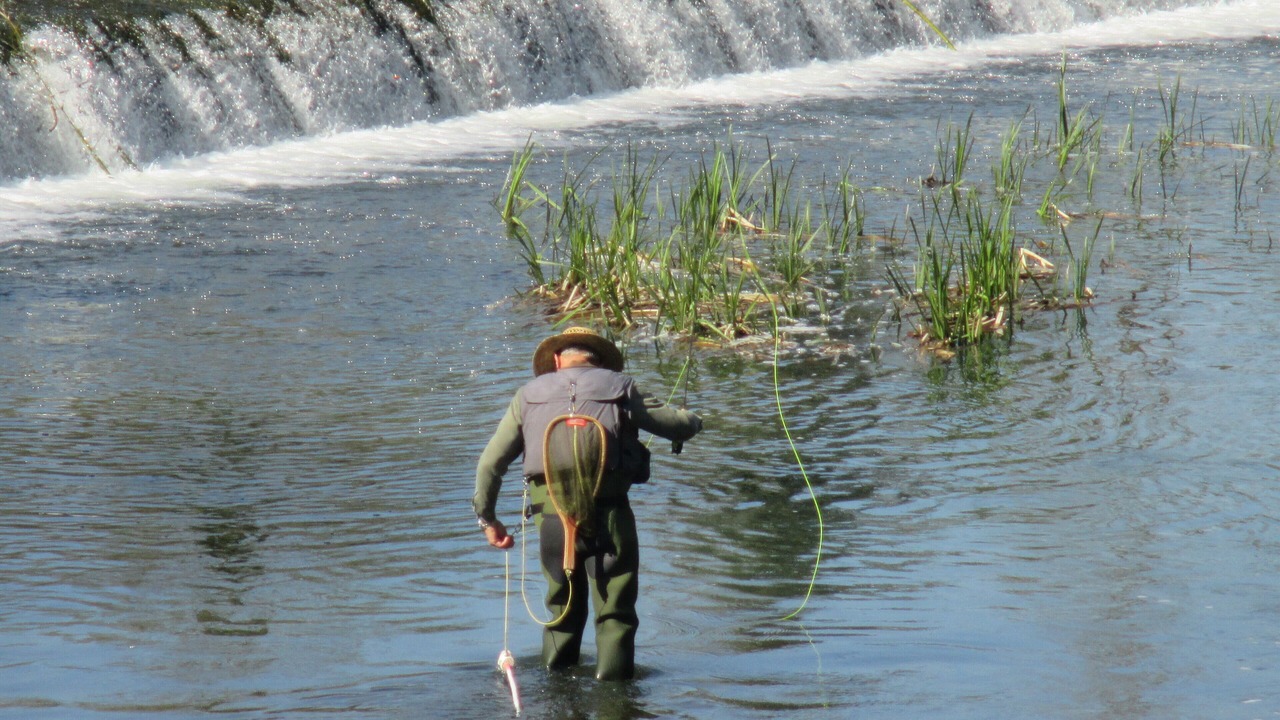 Photo of Others in Verteuil-sur-Charente