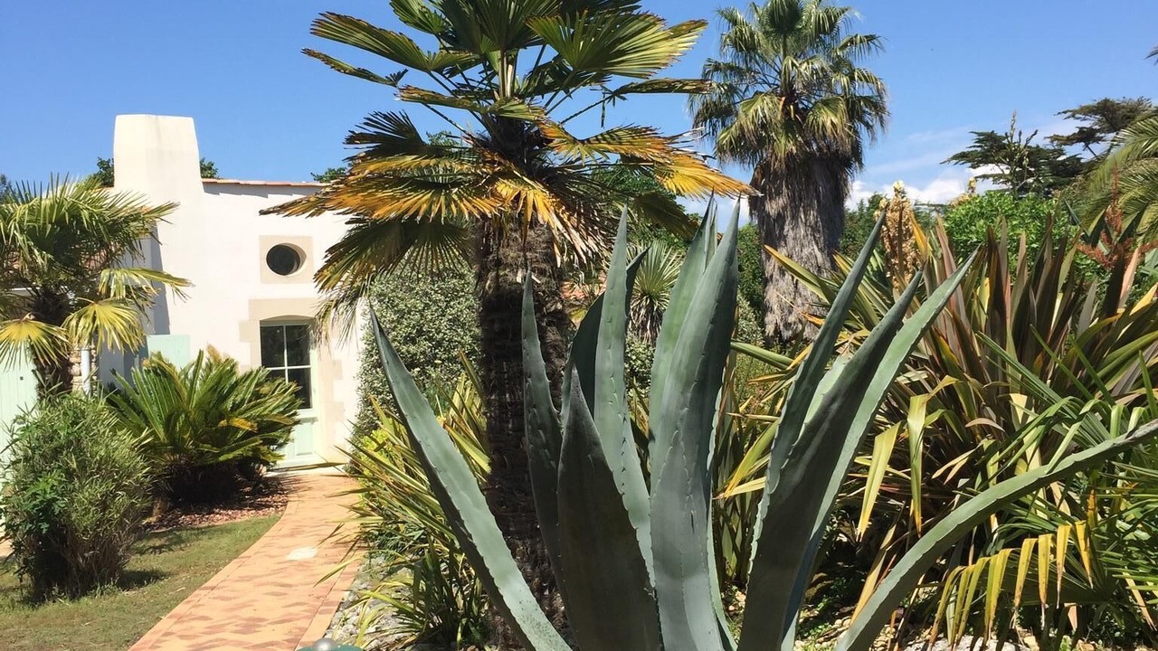 Photo of Outdoor in La Couarde-sur-Mer