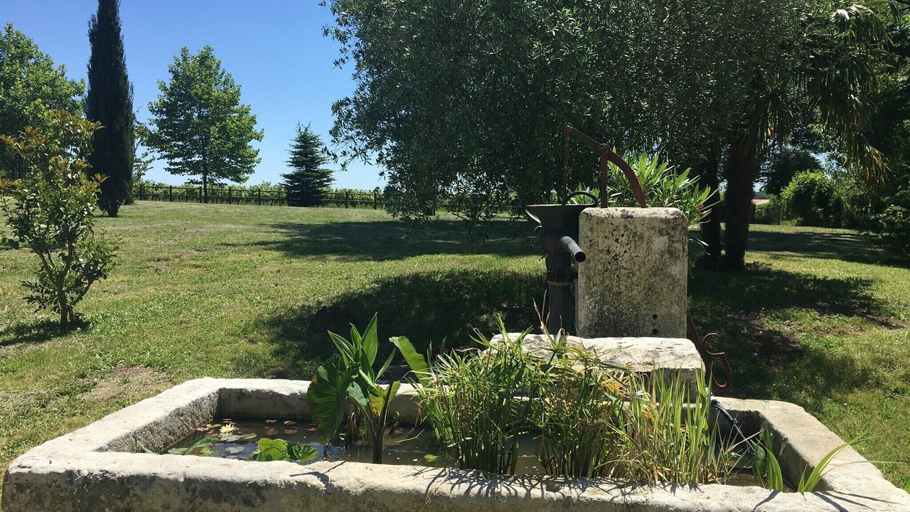 Photo of Outdoor in Avy