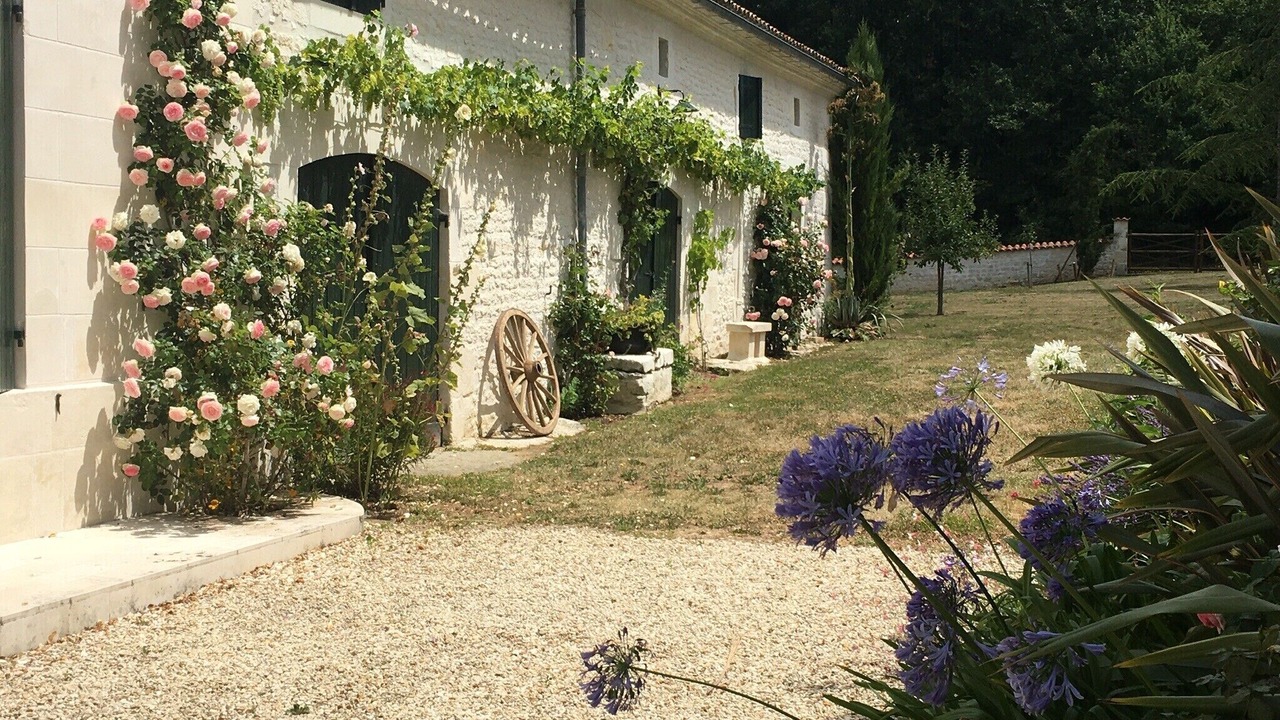 Photo of Outdoor in Avy