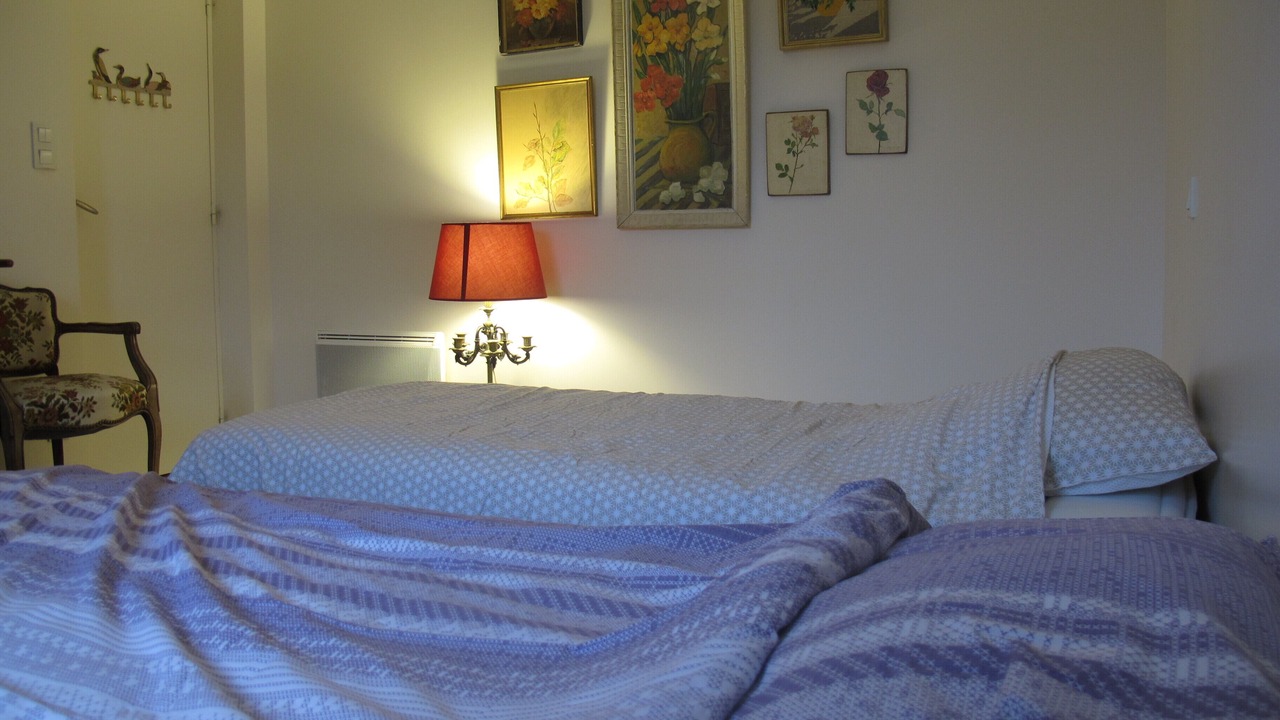 Photo of Bedroom in Castelnaud-la-Chapelle