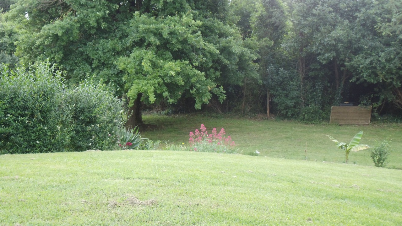 Photo of Outdoor in Echillais