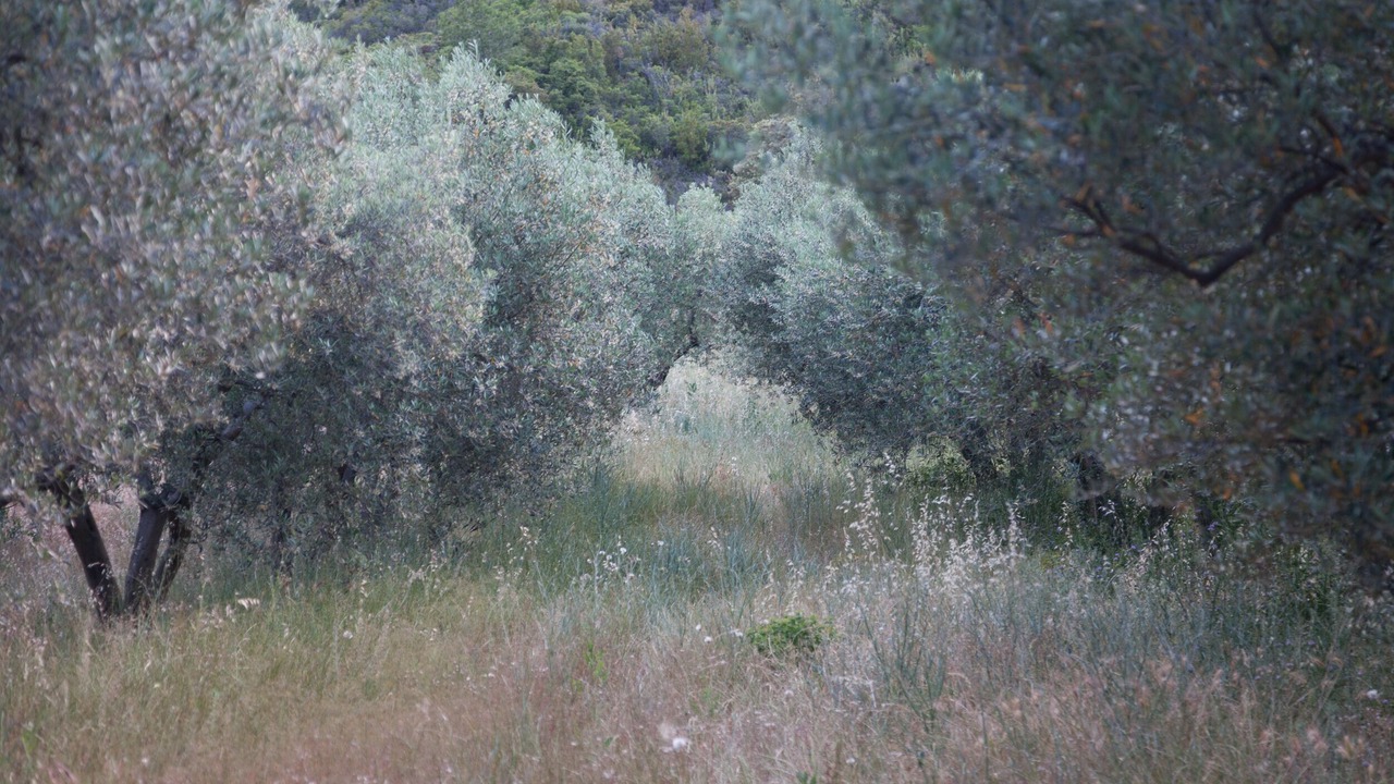 Photo of Outdoor in Les Baux-de-Provence