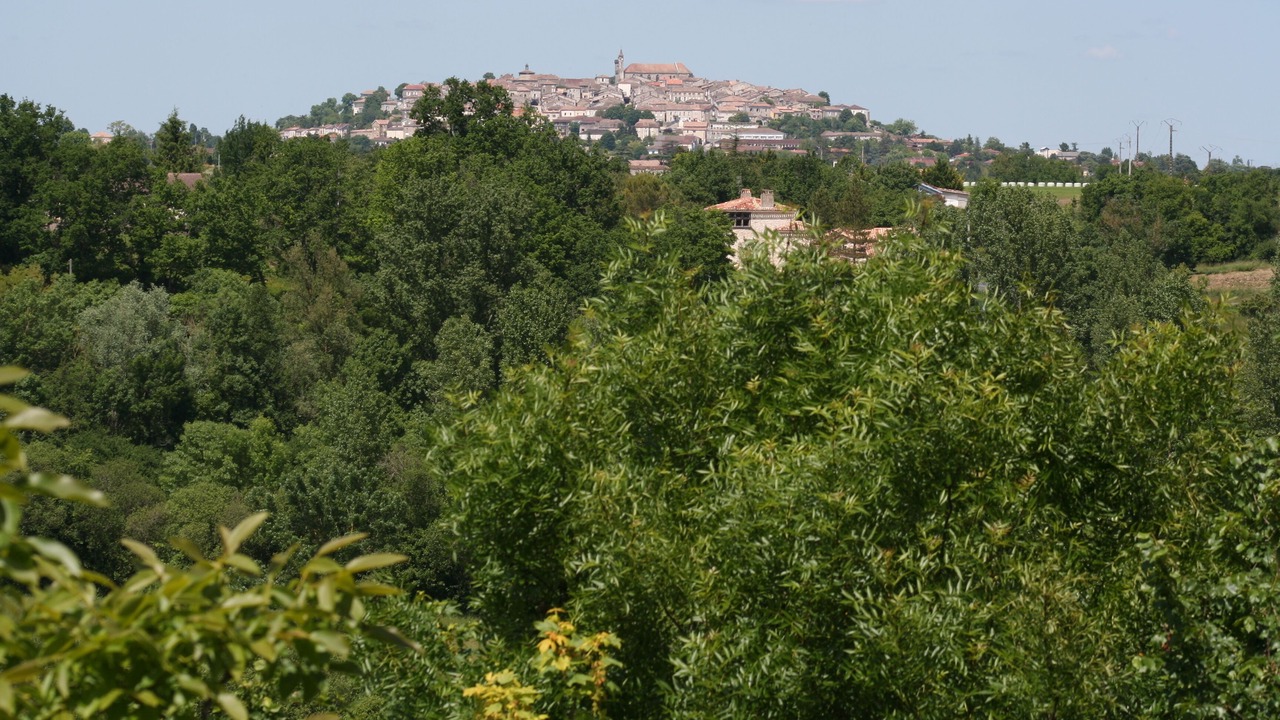 Photo of Others in Monflanquin