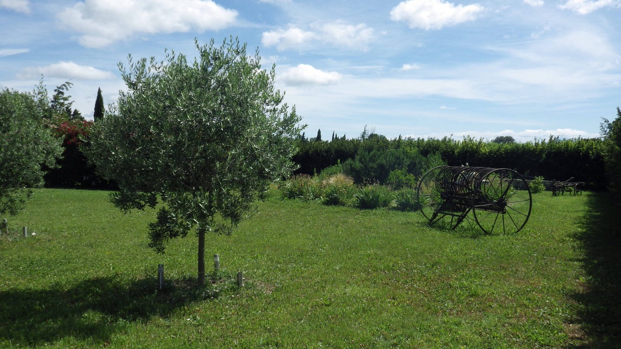 Photo of Outdoor in Caderousse