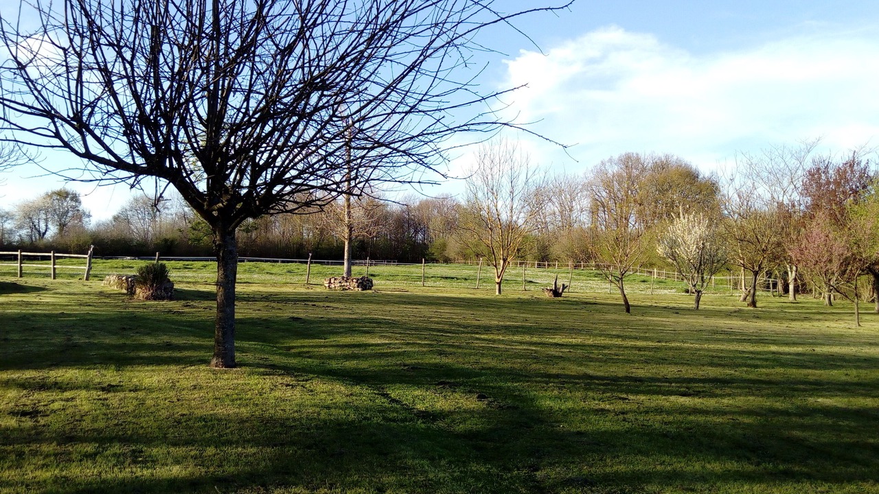 Photo of Outdoor in Saint-Savinien