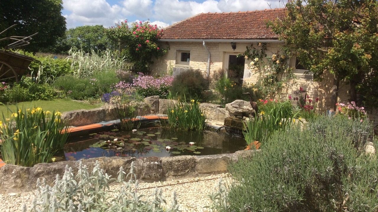 Photo of Outdoor in Crezieres