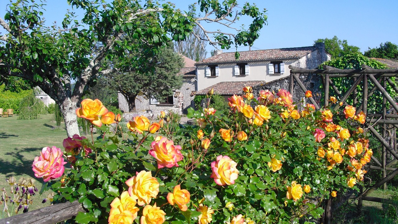 Photo of Outdoor in Savignac-de-Duras