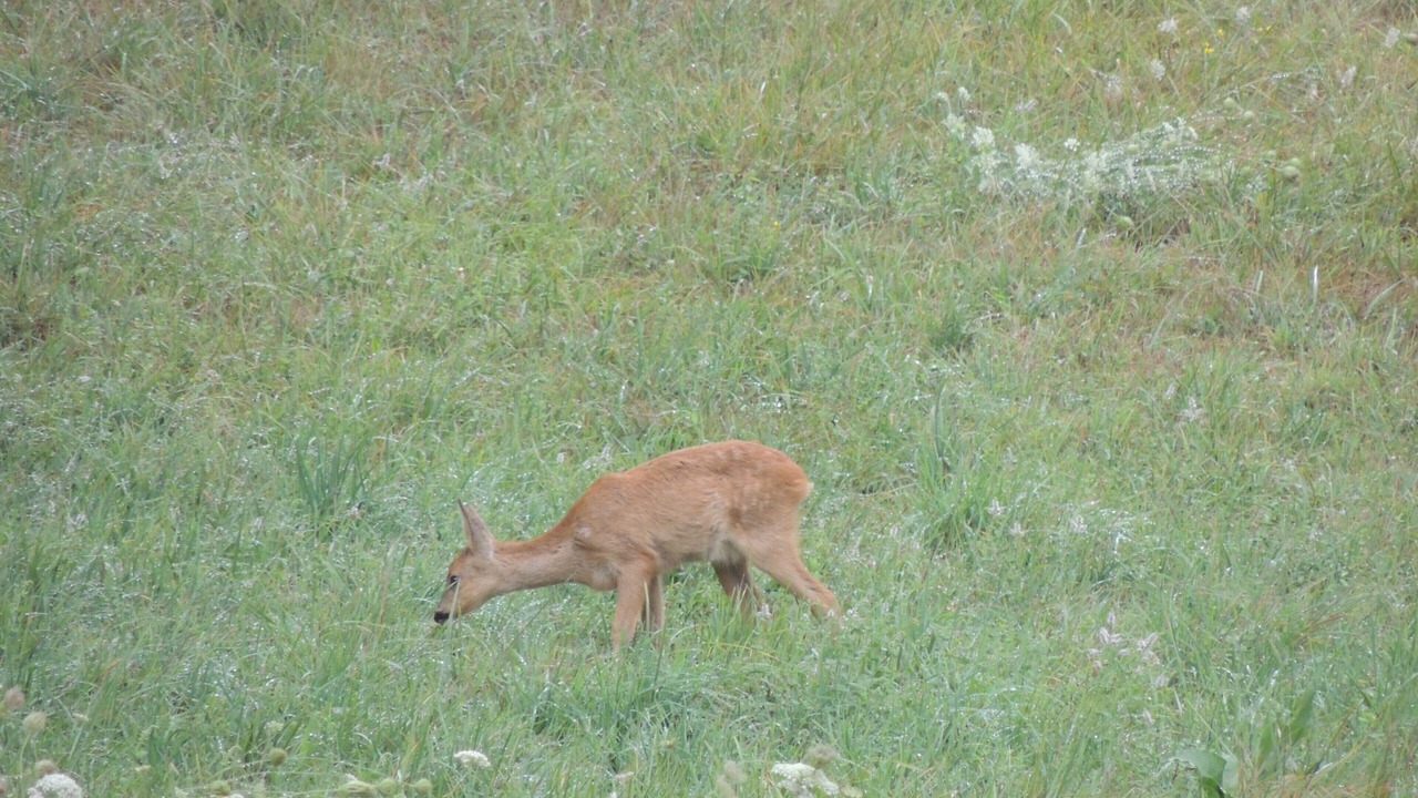 Photo of Outdoor in Brignac-la-Plaine