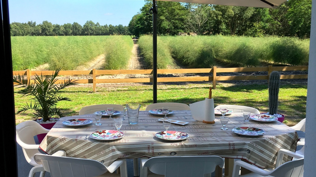 Photo of Outdoor in Soustons