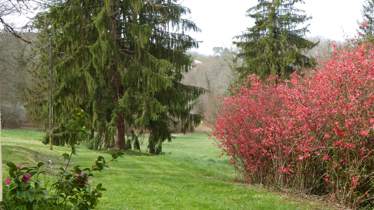Photo of Outdoor in Saint-Laurent-sur-Manoire