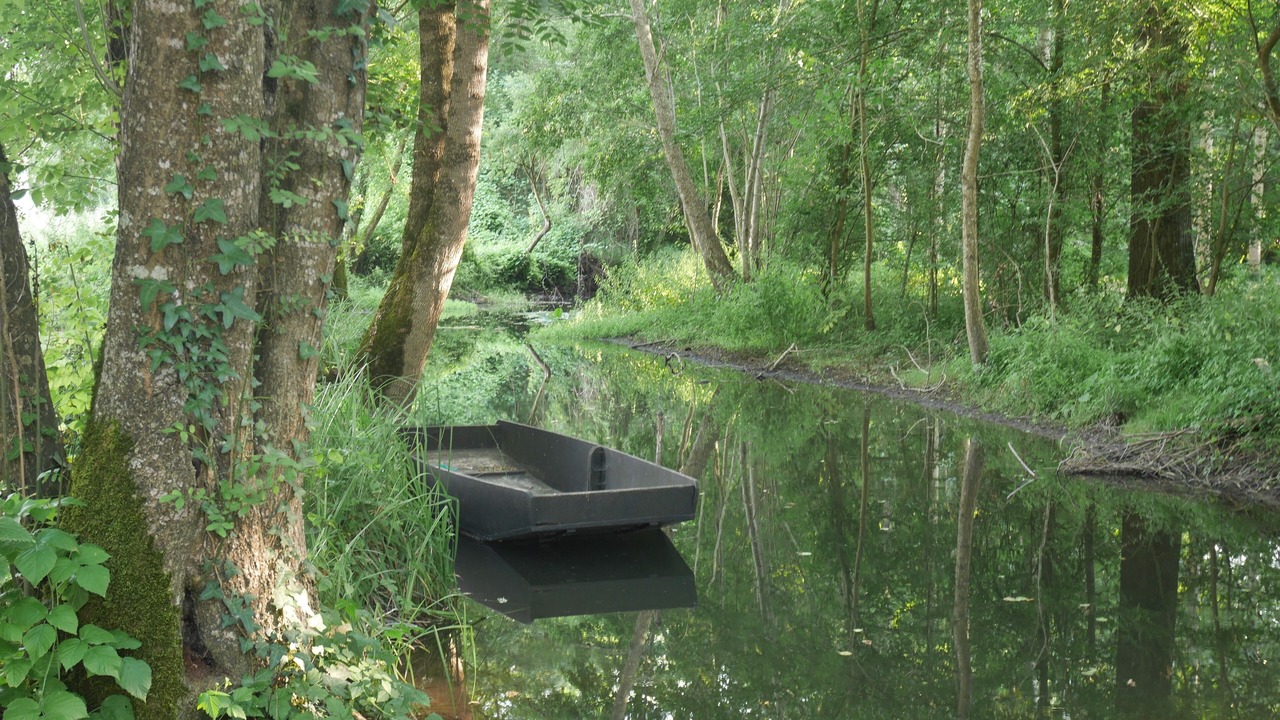 Photo of Outdoor in Courcoury