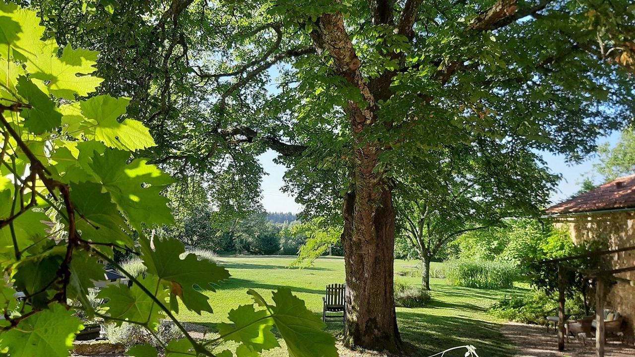 Photo of Outdoor in Pressignac-Vicq
