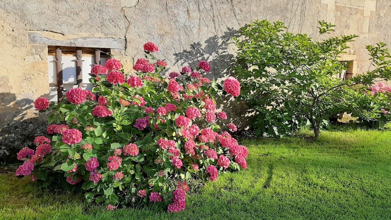 Photo of Outdoor in Pressignac-Vicq
