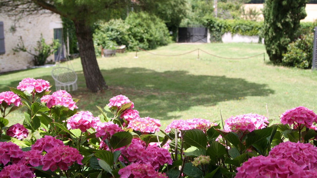 Photo of Outdoor in Saint-Coutant-le-Grand