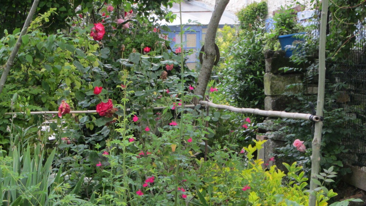 Photo of Outdoor in Saint-Jean-de-Sauves