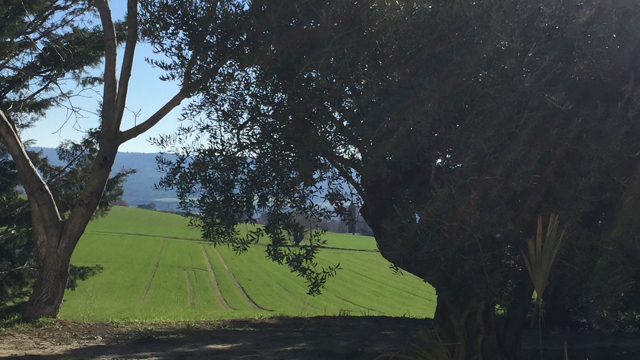 Photo of Outdoor in Lurs