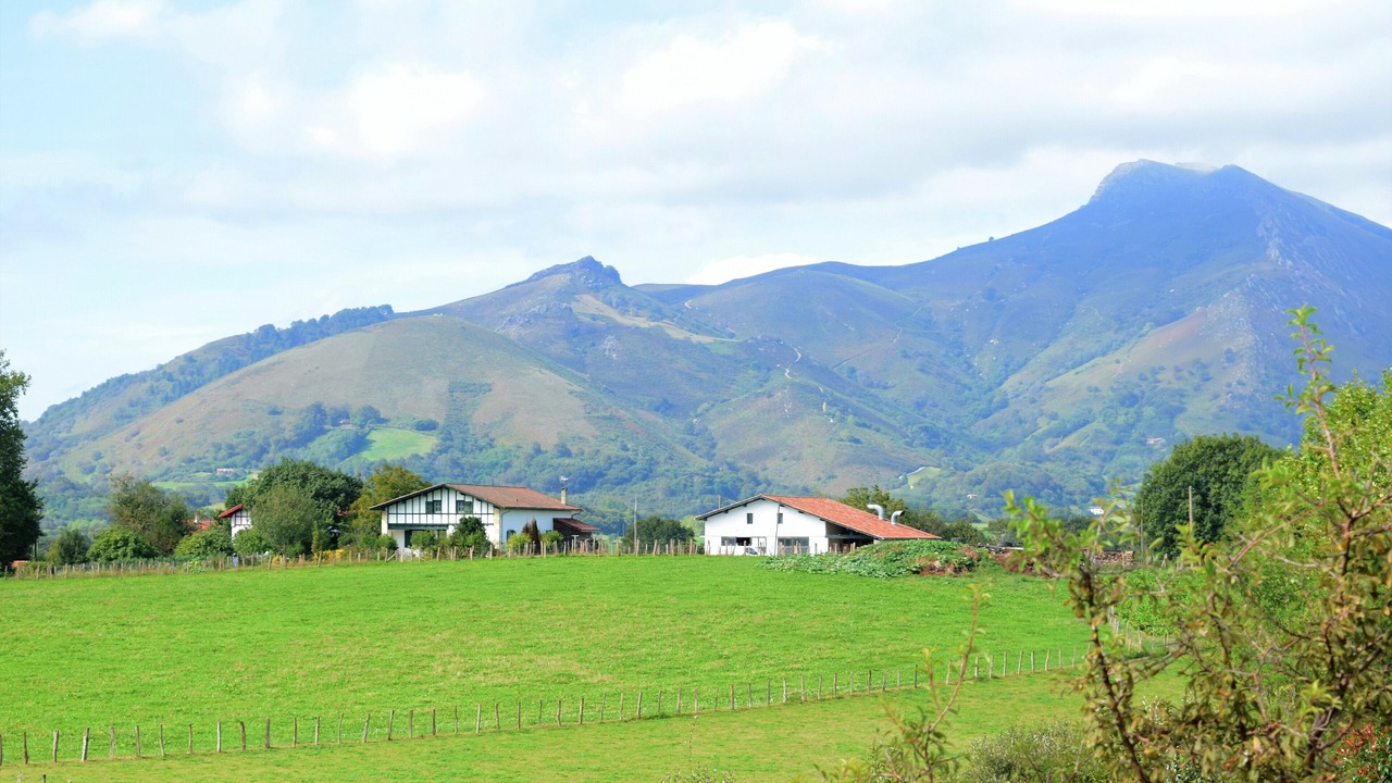 Photo of Outdoor in Sare