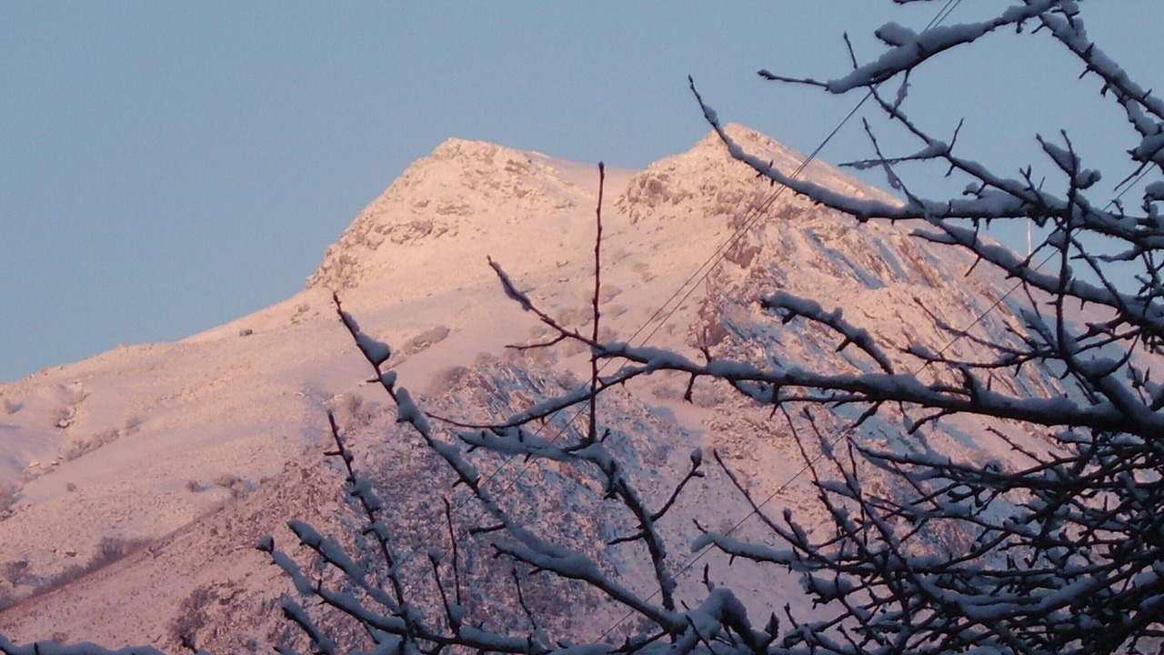 Photo of Outdoor in Sare