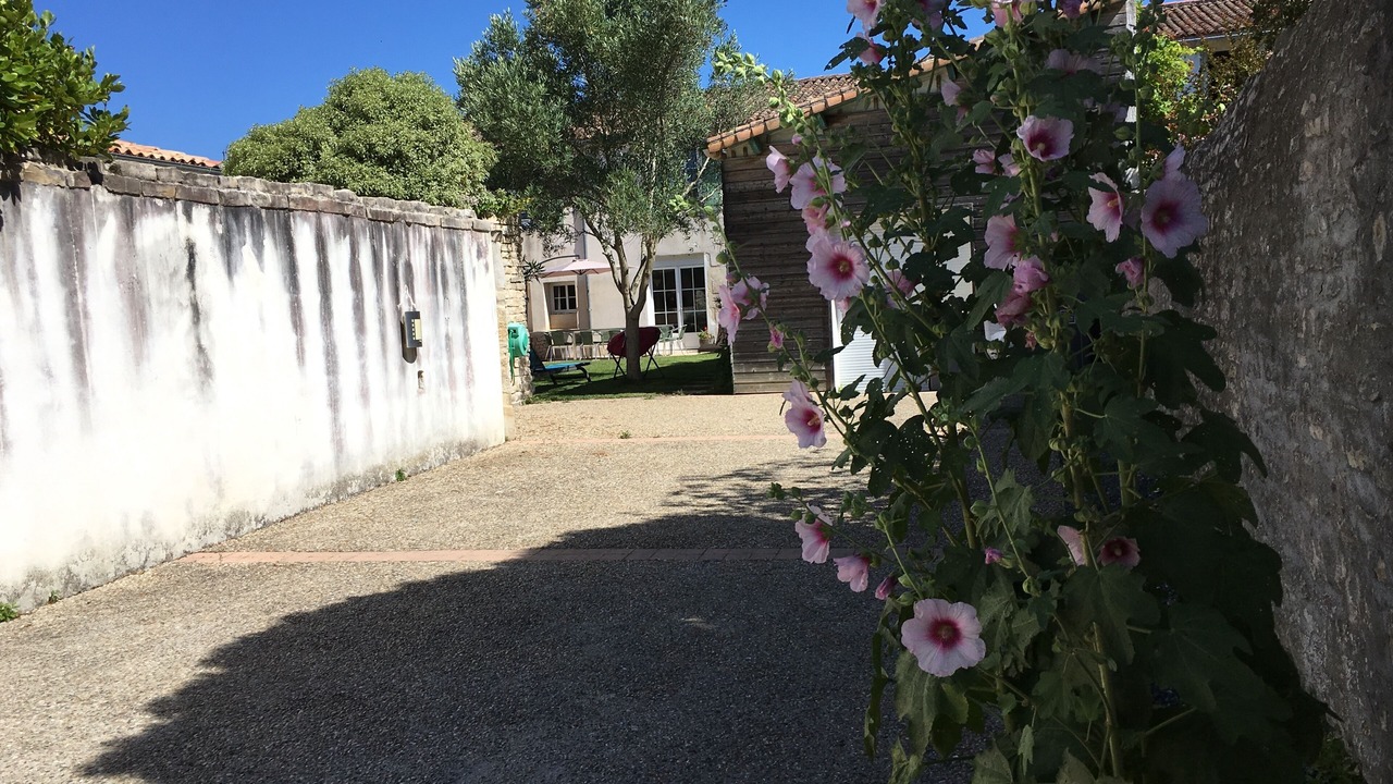 Photo of Outdoor in La Couarde-sur-Mer