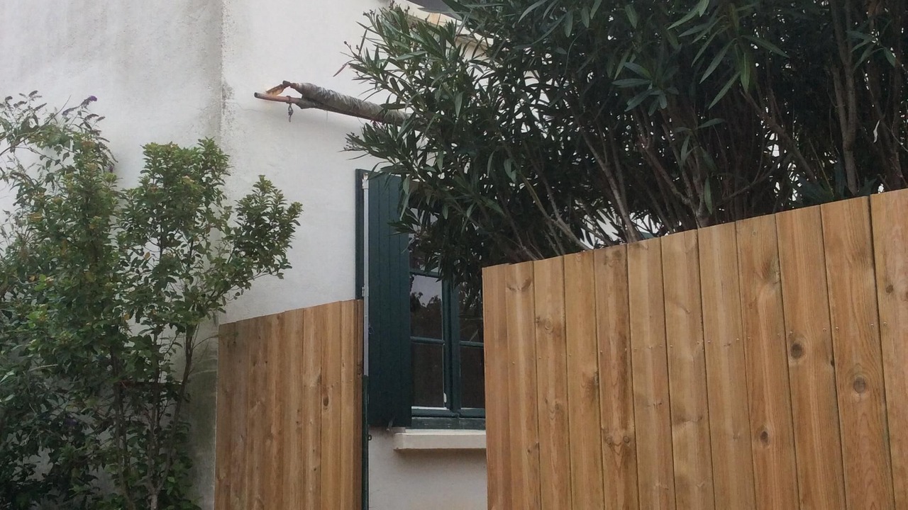 Photo of Outdoor in Fouras