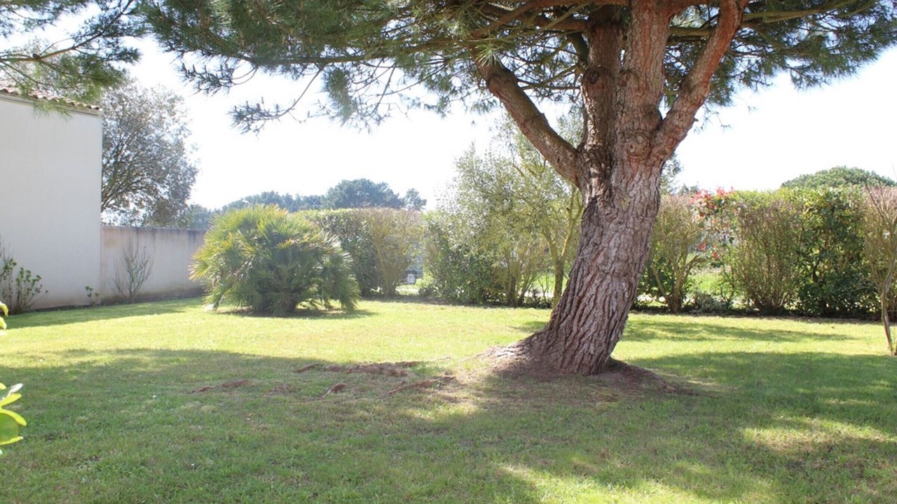 Photo of Outdoor in Cheray