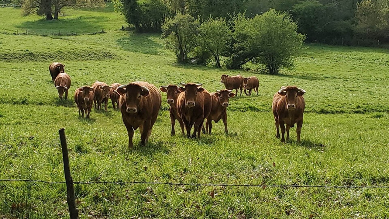 Photo of Others in Saint-Privat-en-Perigord