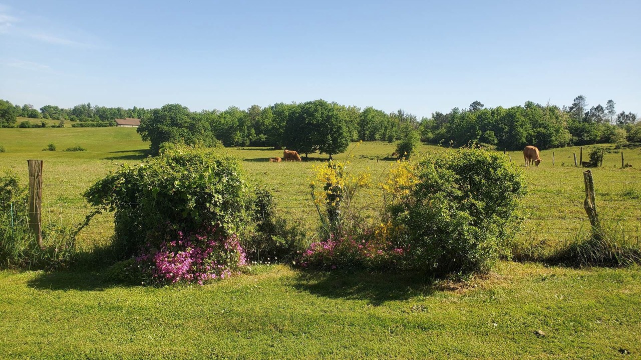 Photo of Others in Saint-Privat-en-Perigord