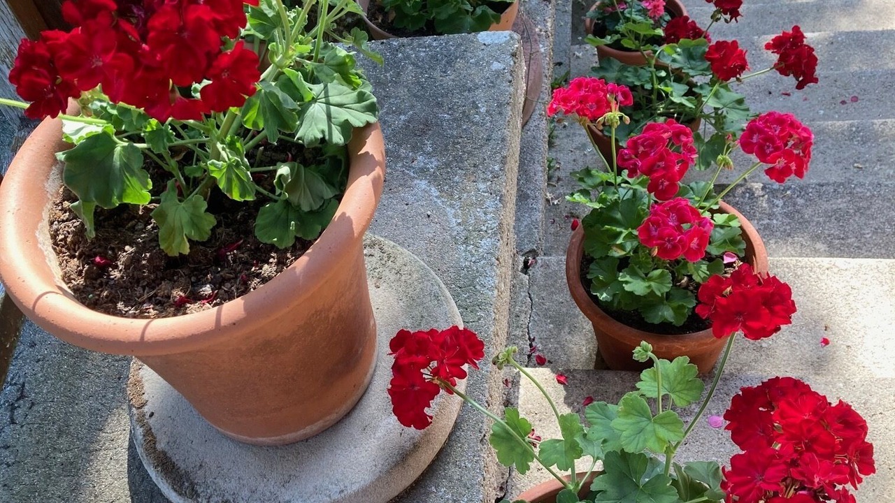 Photo of Outdoor in Marcillac-la-Croze