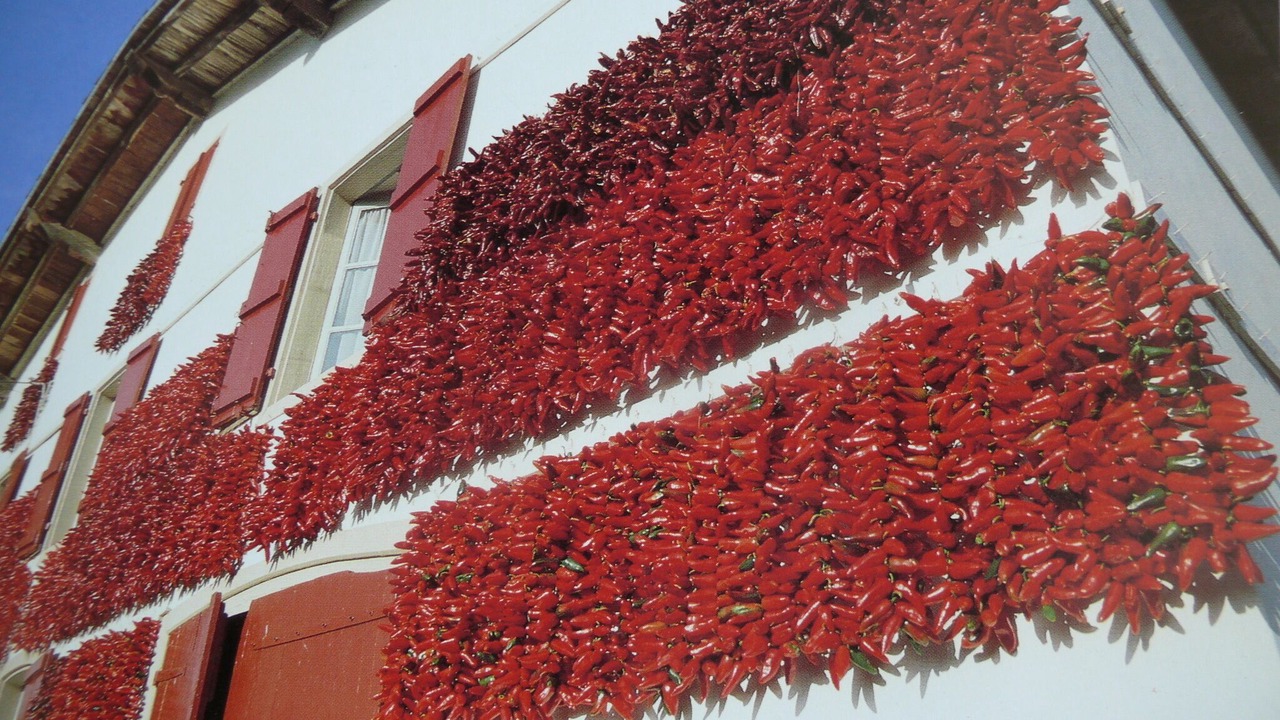 Photo of Outdoor in Saint-Jean-de-Luz City Center