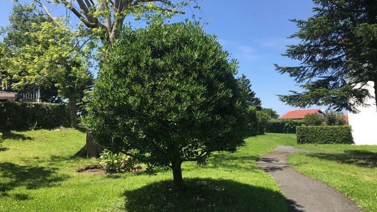 Photo of Outdoor in Saint-Jean-de-Luz