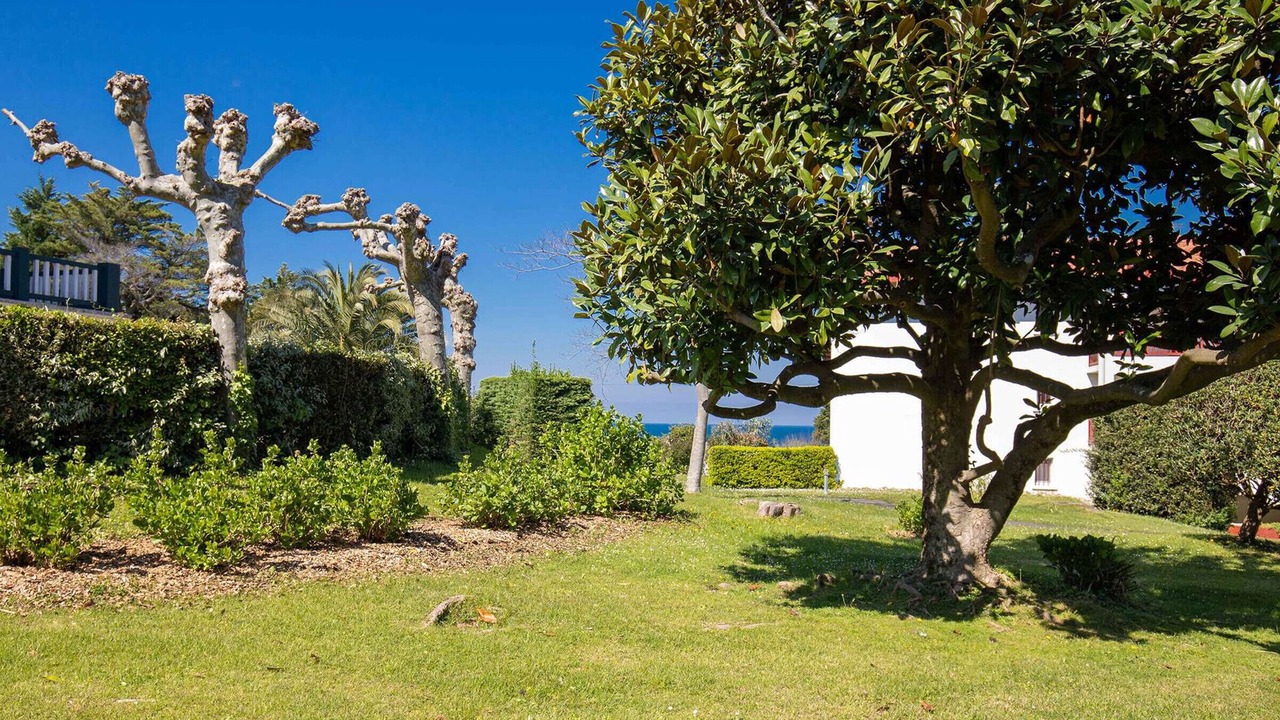 Photo of Outdoor in Saint-Jean-de-Luz