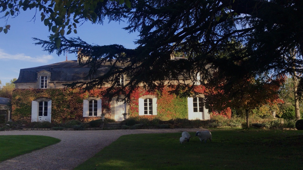 Photo of Outdoor in Sainte-Alvere
