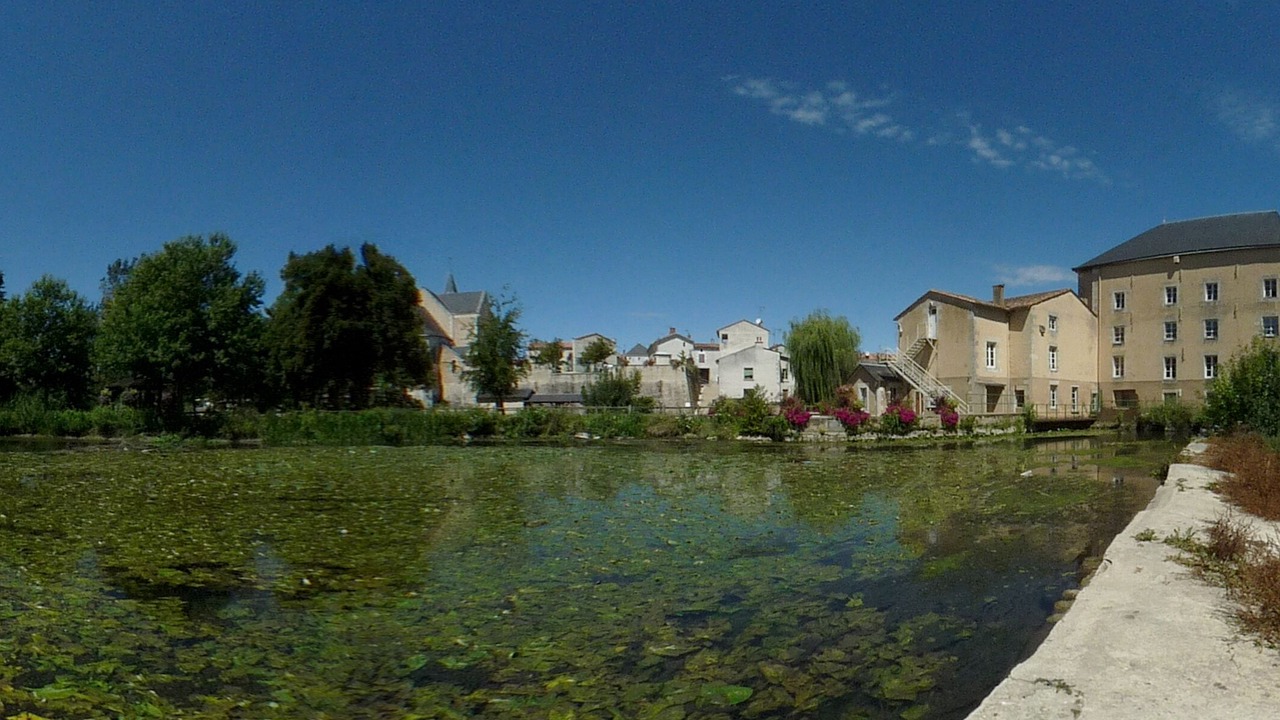 Photo of Others in Chasseneuil-du-Poitou