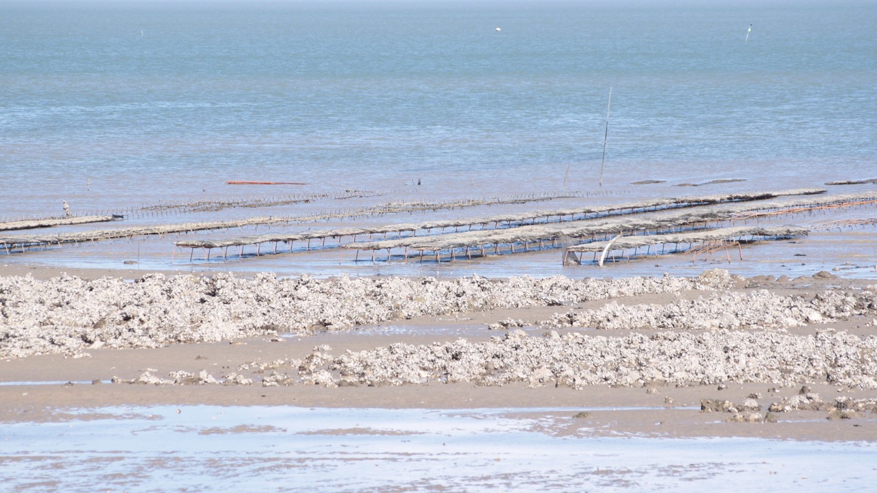 Photo of Others in La Flotte
