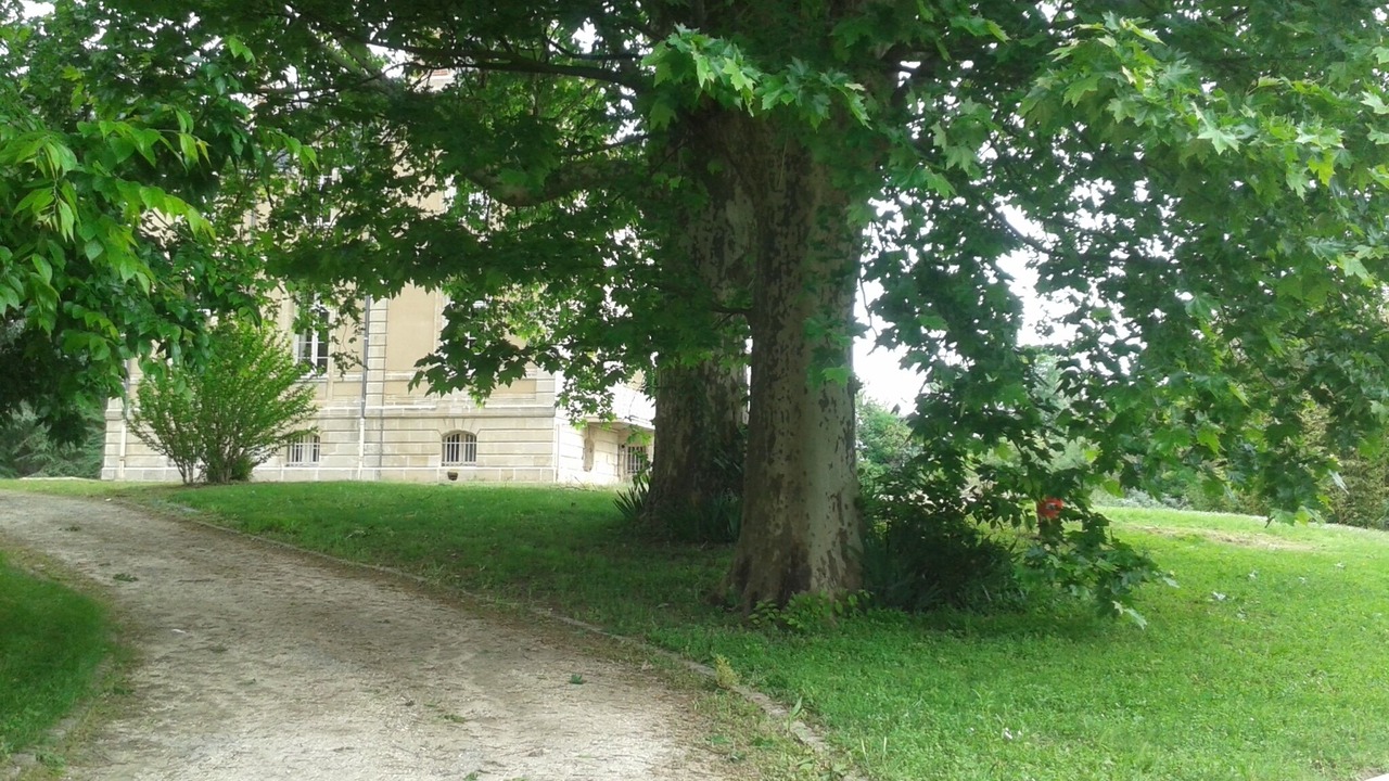 Photo of Outdoor in Clairac